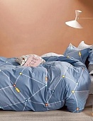 BP-117 постельное белье из твил-сатина СайлиД евро