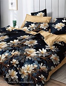 КПБ 2-х сп. МАКСF 77004 A/B (N) поплин Бояртекс