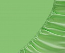 Простыня на резинке трикотажная СВС 200*200*20 салатовый