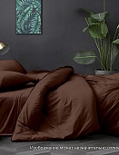 19-1217 TPX Шоколад постельное белье из поплина гл/кр Бояртекс 2-х сп.