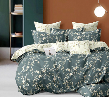 КПБ 2-х сп. Поплин Премиум 6741