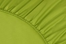 Простыня на резинке Моноспейс Ecotex 200*200*23 салатовая