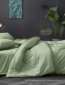 Фисташковый постельное белье из поплина гл/кр Бояртекс 2-х сп.