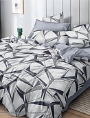 КПБ 2-х сп. МАКСF F 77018 A/B (N) поплин Бояртекс