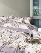 КПБ 2-х сп с европростыней  Сатин  2544