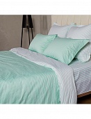 BL-4 постельное белье из сатина Сайлид евро