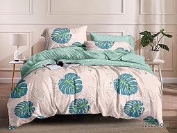 55-009 А/В постельное бельё из поплина Luxor Бояртекс семейное