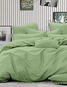 14-0115 (фисташка) постельное белье из страйп-сатина Бояртекс евро