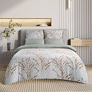 КПБ сем. Версилия