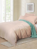 BL-43 постельное белье из сатина Сайлид евро