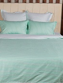 BL-4 постельное белье из сатина Сайлид 2 спальное с европростыней