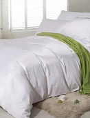 BL-39 постельное белье из сатина Сайлид евро