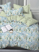 2565-1 постельное белье из сатина Бояртекс евро