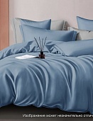 17-4020 TPX постельное белье из сатина Бояртекс евро