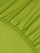 Простыня на резинке Моноспейс Ecotex 160*200*23 салатовая