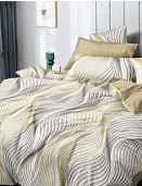 КПБ 2-х сп. МАКС 68008 A/B поплин Бояртекс