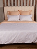 BL-2 постельное белье из сатина Сайлид евро