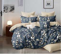 КПБ 2-х сп. Поплин Премиум 6670