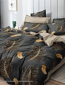 КПБ 2-х сп. МАКС F 72018 A/B (N)) поплин Бояртекс