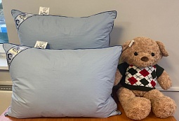 Мечта подушка пуховая СВС 68*68