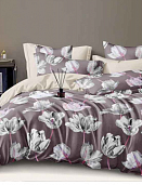 КПБ евро Поплин Премиум 6353