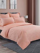 FR-9 постельное бельё из сатин-жаккарда СайлиД евро