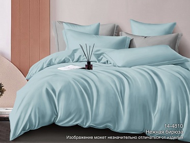 14-4810 TPX постельное белье из сатина Бояртекс евро