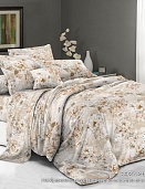 КПБ 2-х сп. Бязь  № 4011