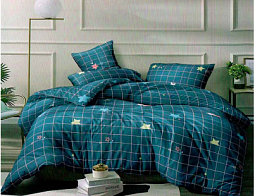 КПБ 2-х сп. Макосатин  0687