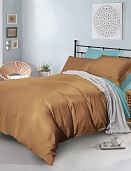 BL-41 постельное белье из сатина Сайлид 2 спальное с европростыней