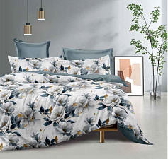 КПБ 2-х сп с европростыней  Сатин  2455