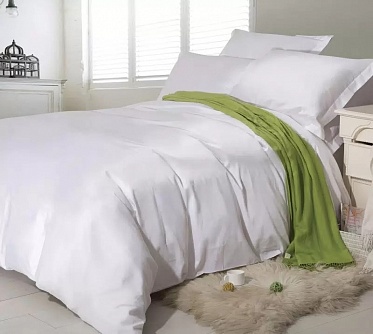 BL-39 постельное белье из сатина Сайлид евро