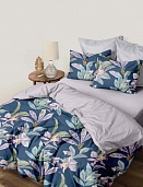 КПБ 1.5 перкаль Fine Line (50х70) рис. 50381-1/24500-17 Флер-де-лис н/у