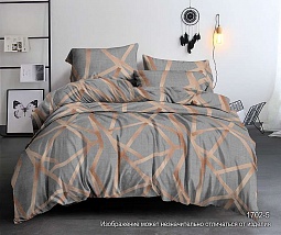 КПБ 2-х сп. Полисатин БОЯРТЕКС 1702-5