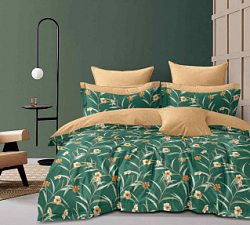 КПБ 2-х сп с европростыней  Сатин  04478