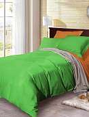 BL-47 постельное белье из сатина Сайлид евро