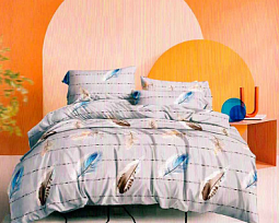 КПБ 2-х сп. Макосатин  0647