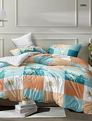 23952 постельное бельё из поплина Luxor Бояртекс евро