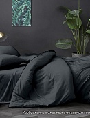 18-0201 ТРХ графит постельное белье из поплина гл/кр Бояртекс семейный