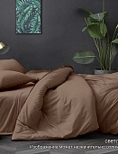17-1418 ТРХ Светло-коричневый постельное белье из поплина гл/кр Бояртекс 2-х сп.