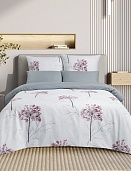 КПБ сем. Аллиум