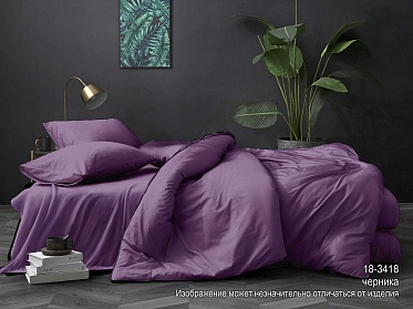 Черника постельное белье из поплина гл/кр Бояртекс семейный