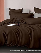 19-1217 ТРХ Шоколадный постельное белье из сатина Бояртекс семейный